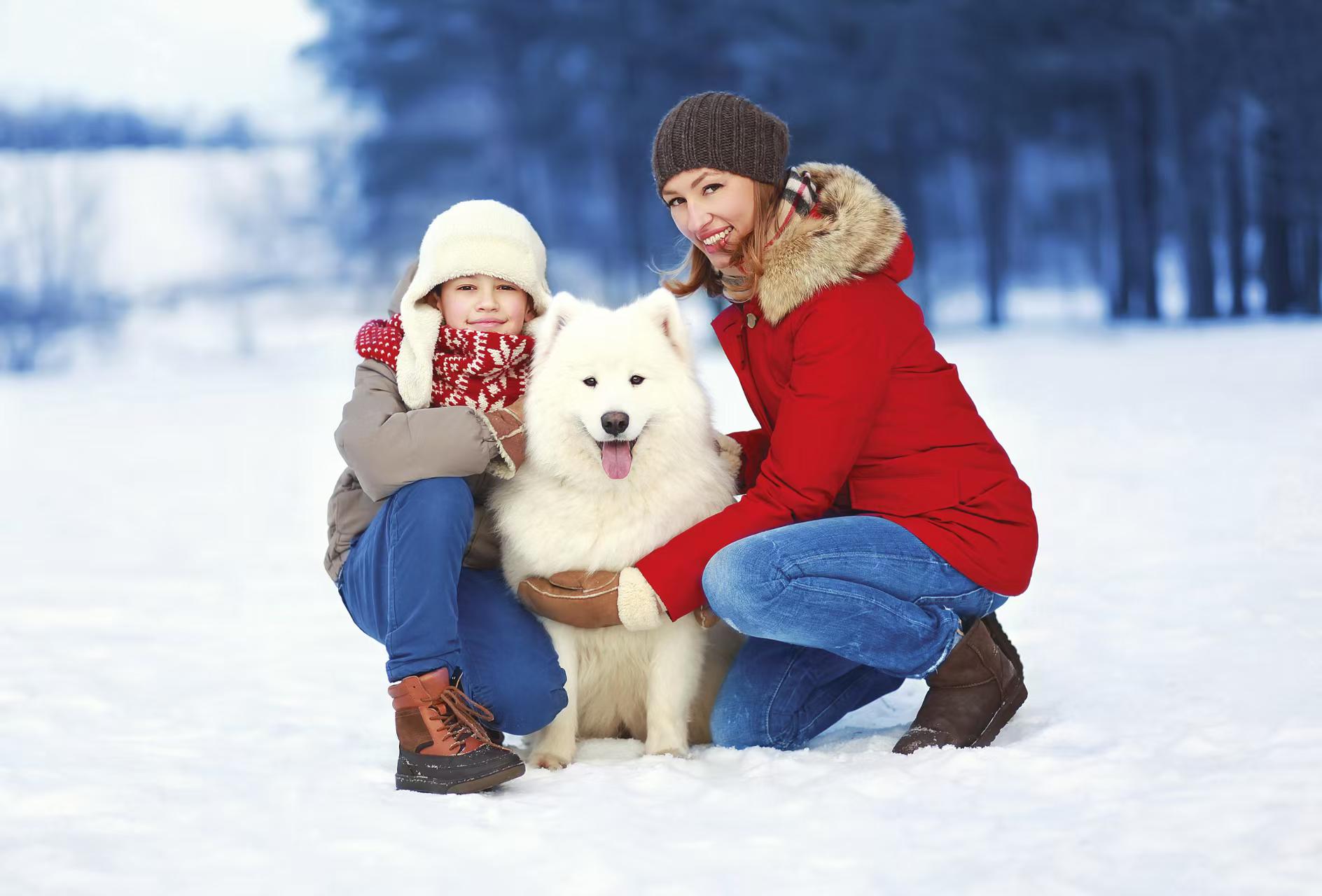 Winter Wellness: How to Keep Your Dog Healthy and Happy All Season Long