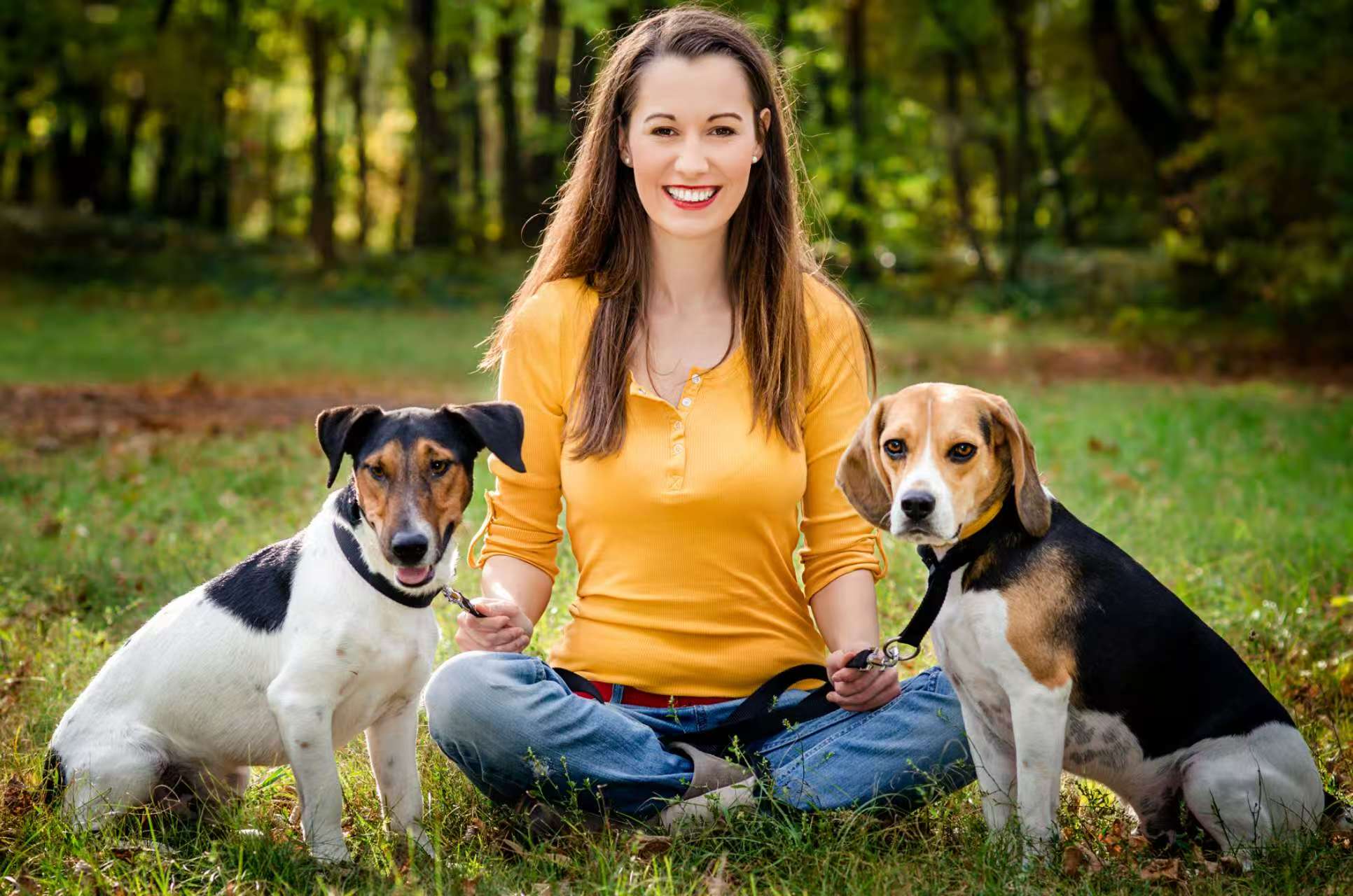 Does Your Dog Have a Sense of Humor? Science Says… Maybe!