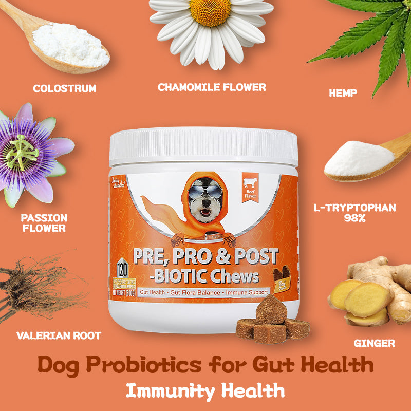Bailey & Buddies Probiotics for Dogs