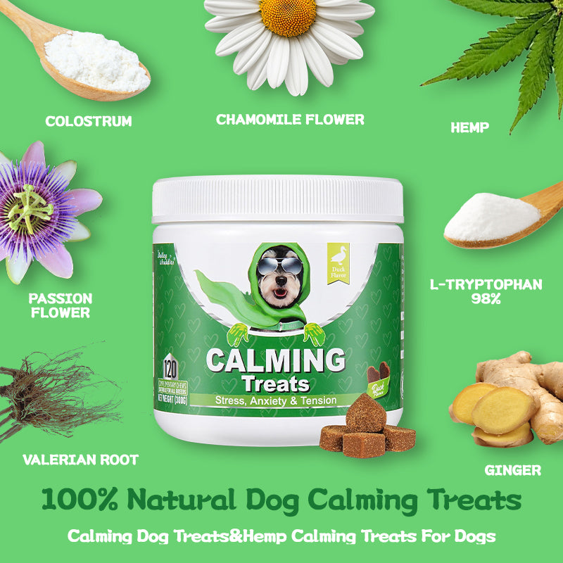 Calming Dog Treats for Anxiety Relief | Bailey & Buddies