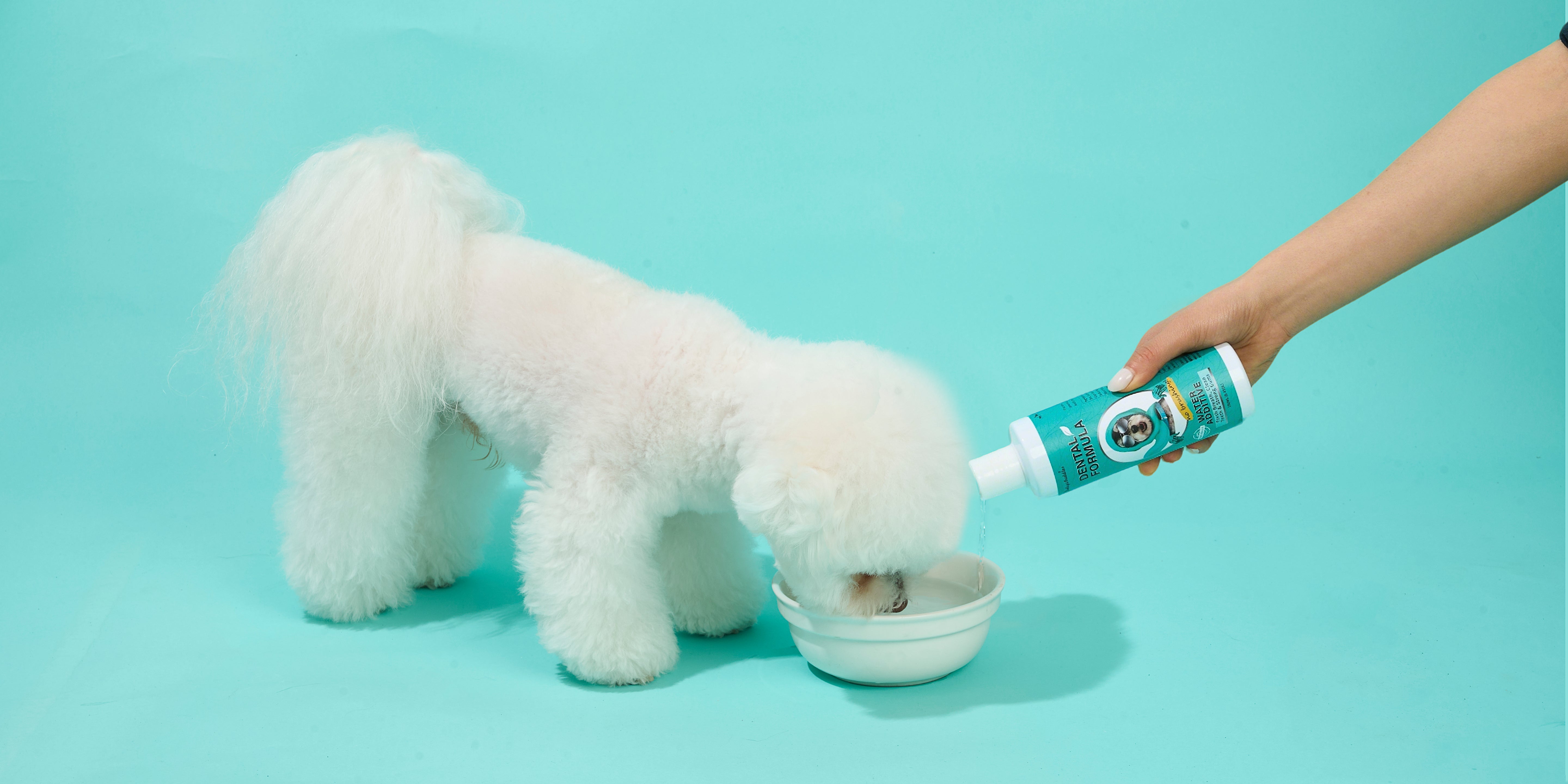 Fresh Breath Starts Here