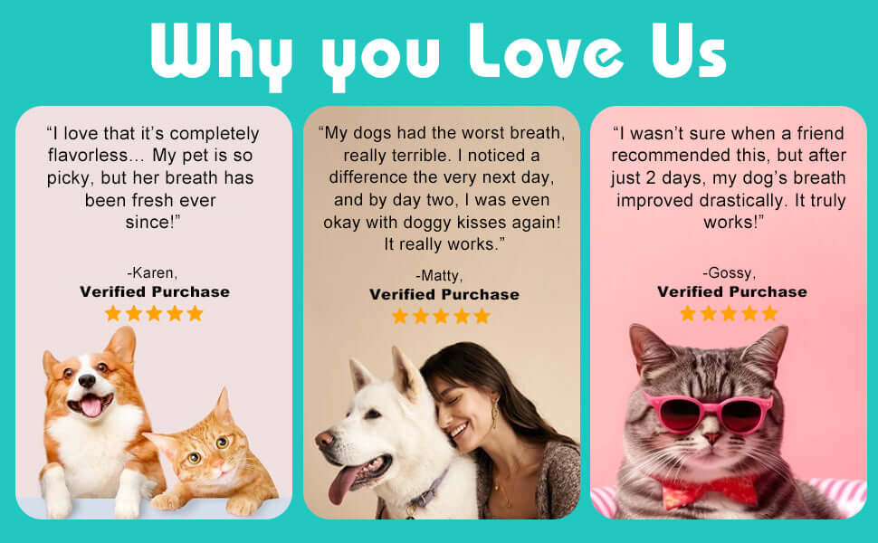 Dental Formula Water Additive for Dogs & Cats