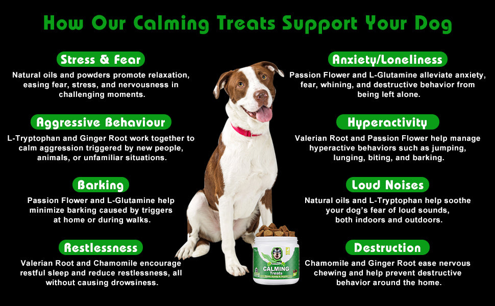 Calming Dog Treats for Anxiety Relief | Bailey & Buddies