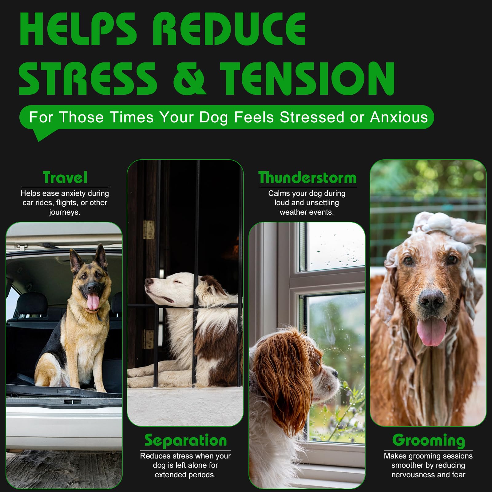 Calming Dog Treats for Anxiety Relief | Bailey & Buddies