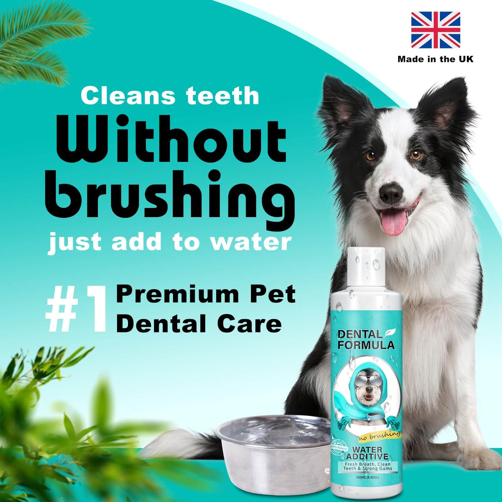 Dental Formula Water Additive for Dogs & Cats