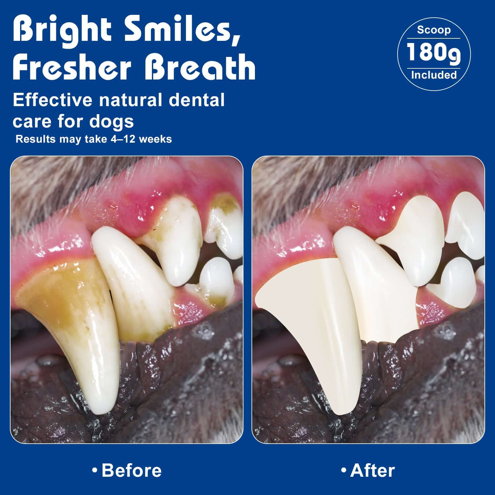 Before and after comparison of dog teeth with dental care product, featuring a blue background and 'Scoop 180g' text.