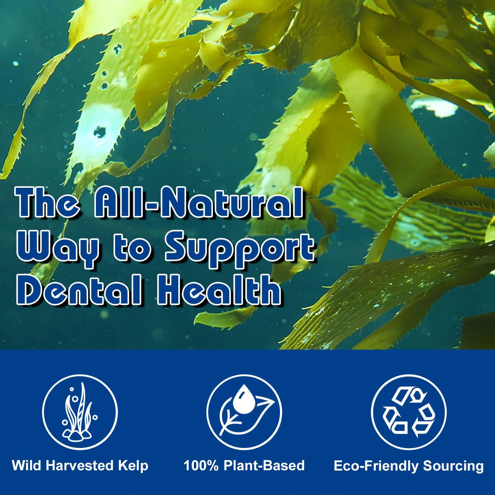 Kelp with text about dental health and sustainability