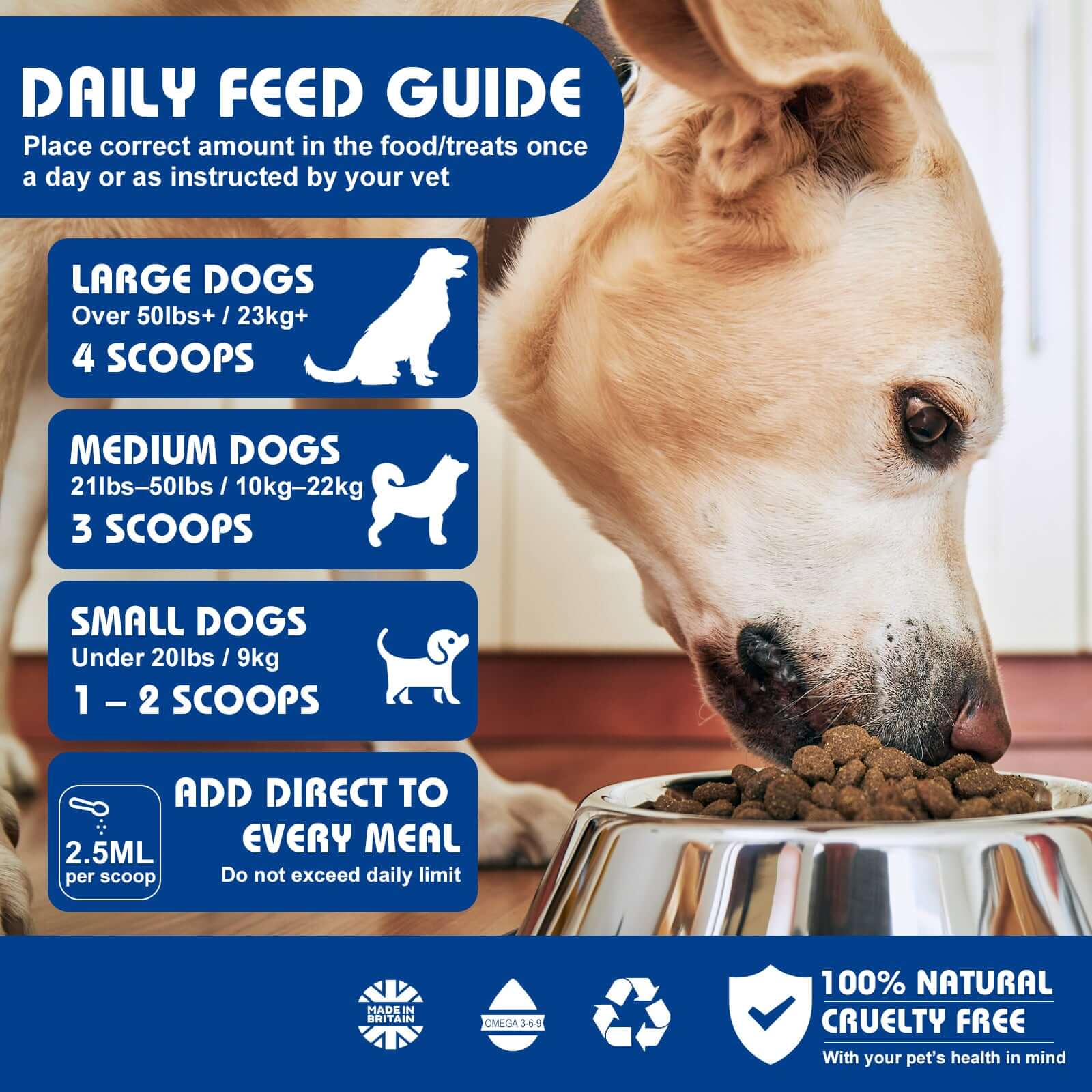Dog eating from a bowl with a daily feed guide for dogs on a blue background