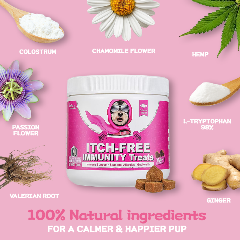 Itchy Dog Treat Allergy Tablets For Dogs