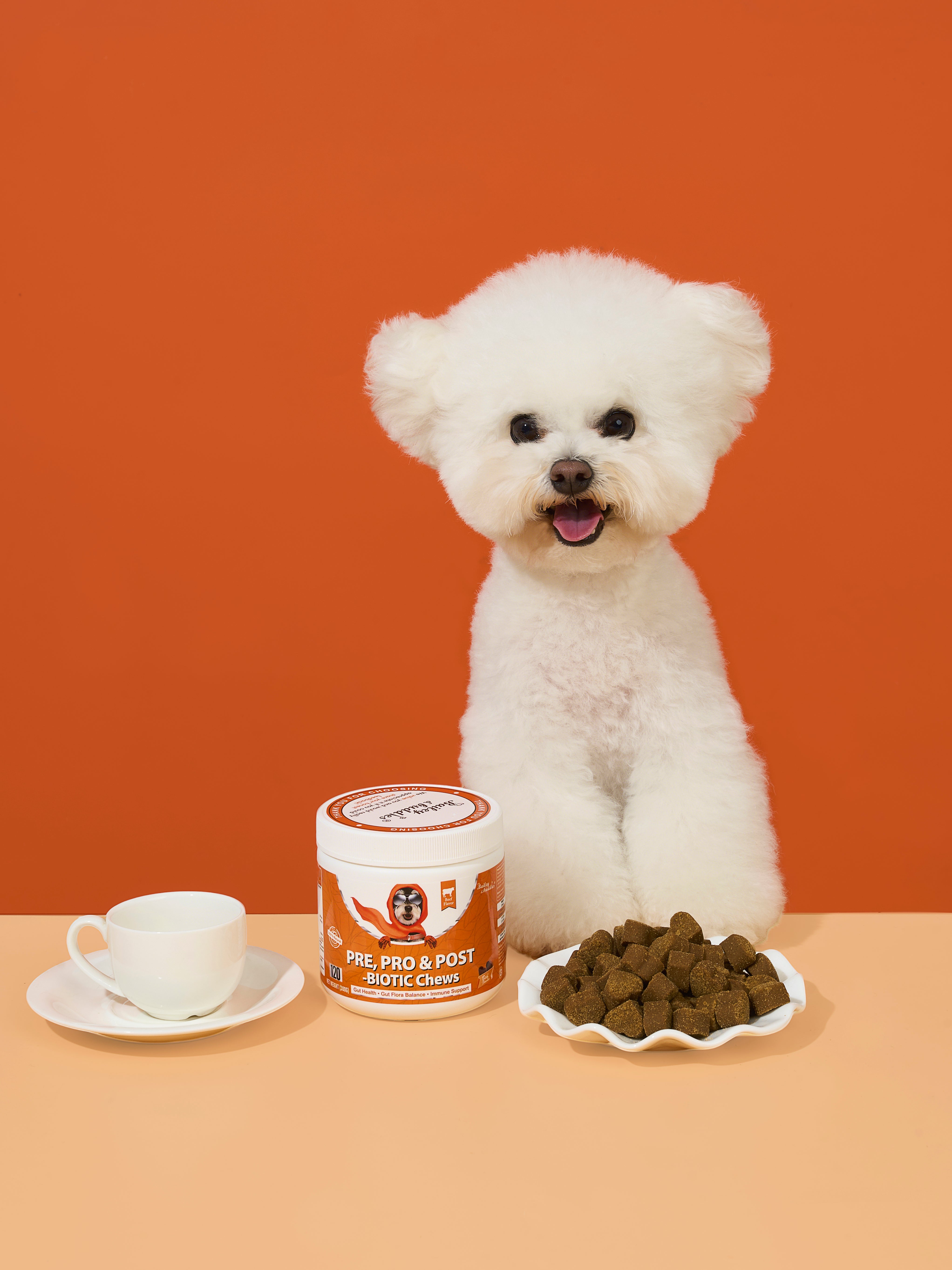Dog Probiotics