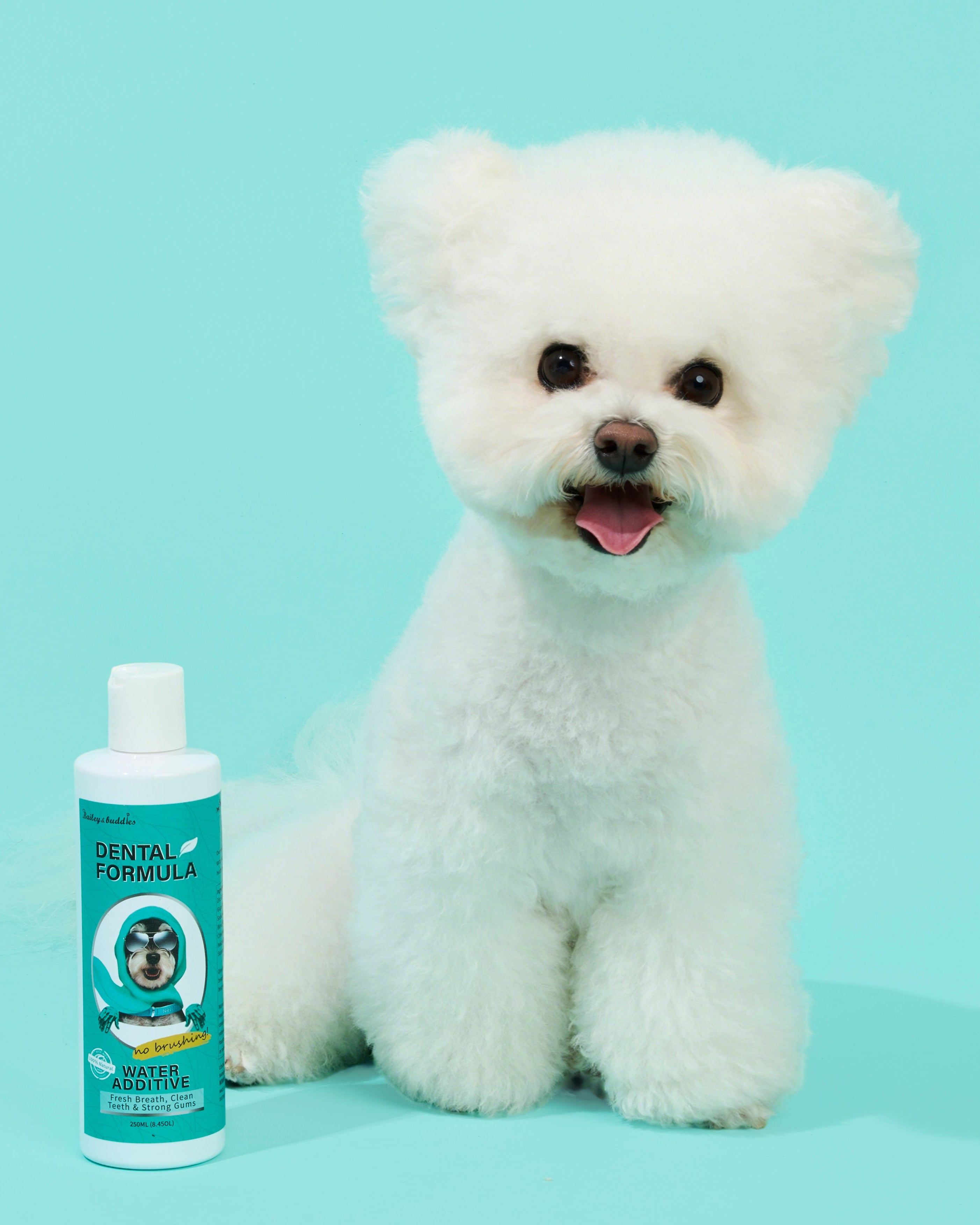 Dog & Cat Dental Water Additive