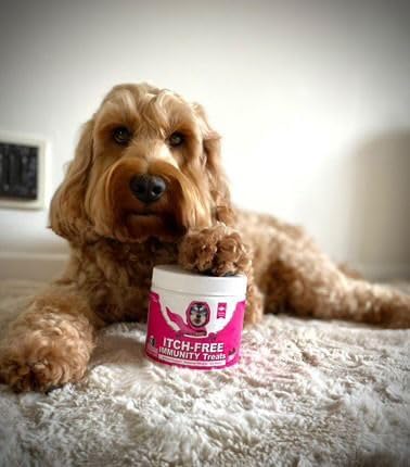 Dog Itch Relief