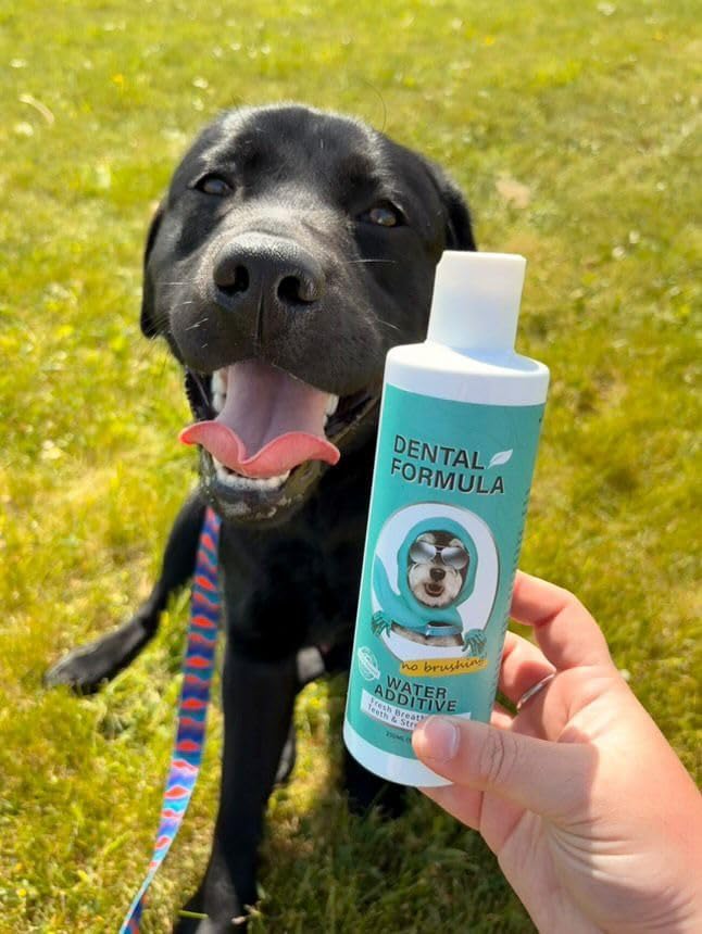Dog & Cat Dental Water Additive