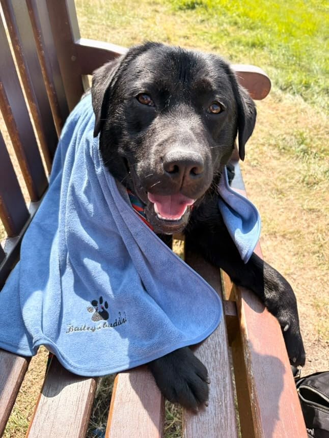 Quick Dry Dog Towel - Ultra-Absorbent & Fast-Drying