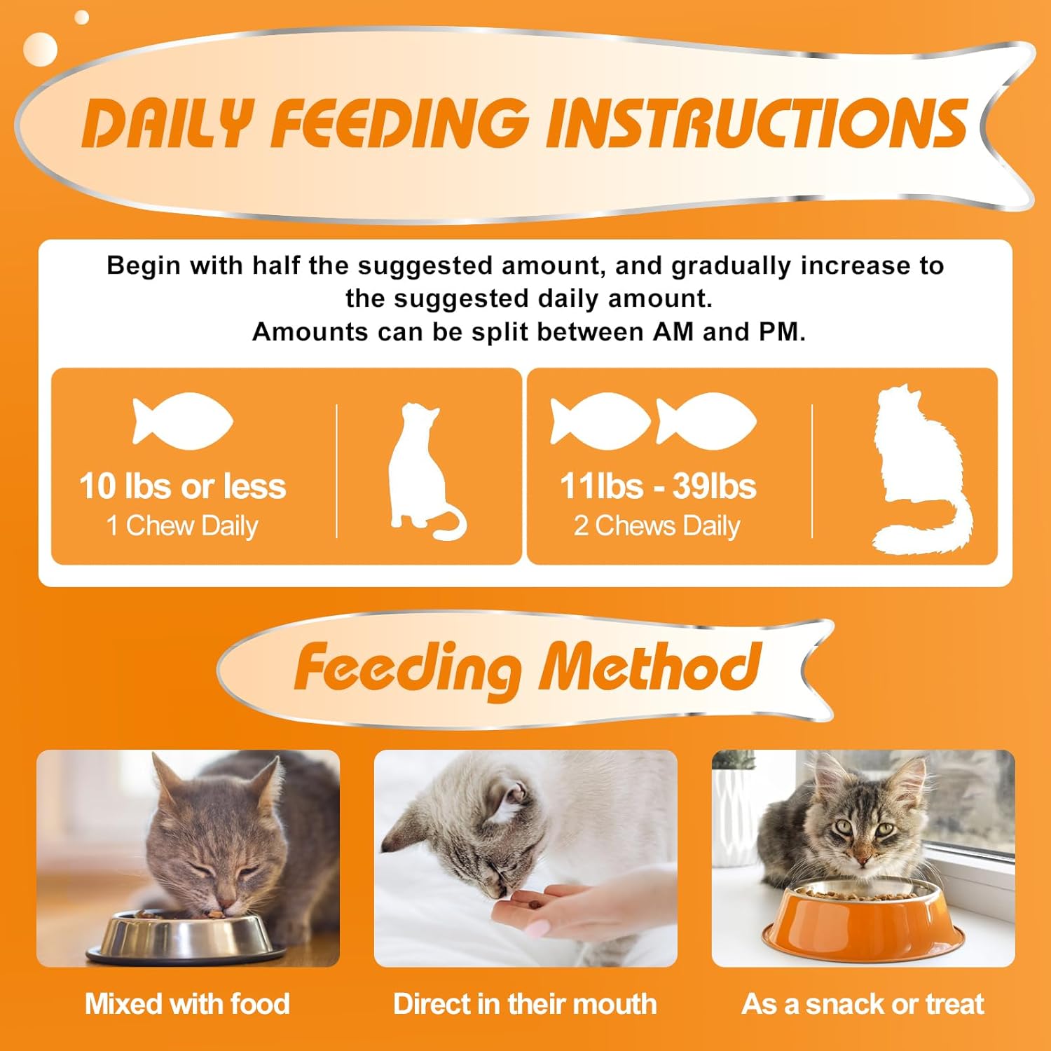 daily probiotics for cats