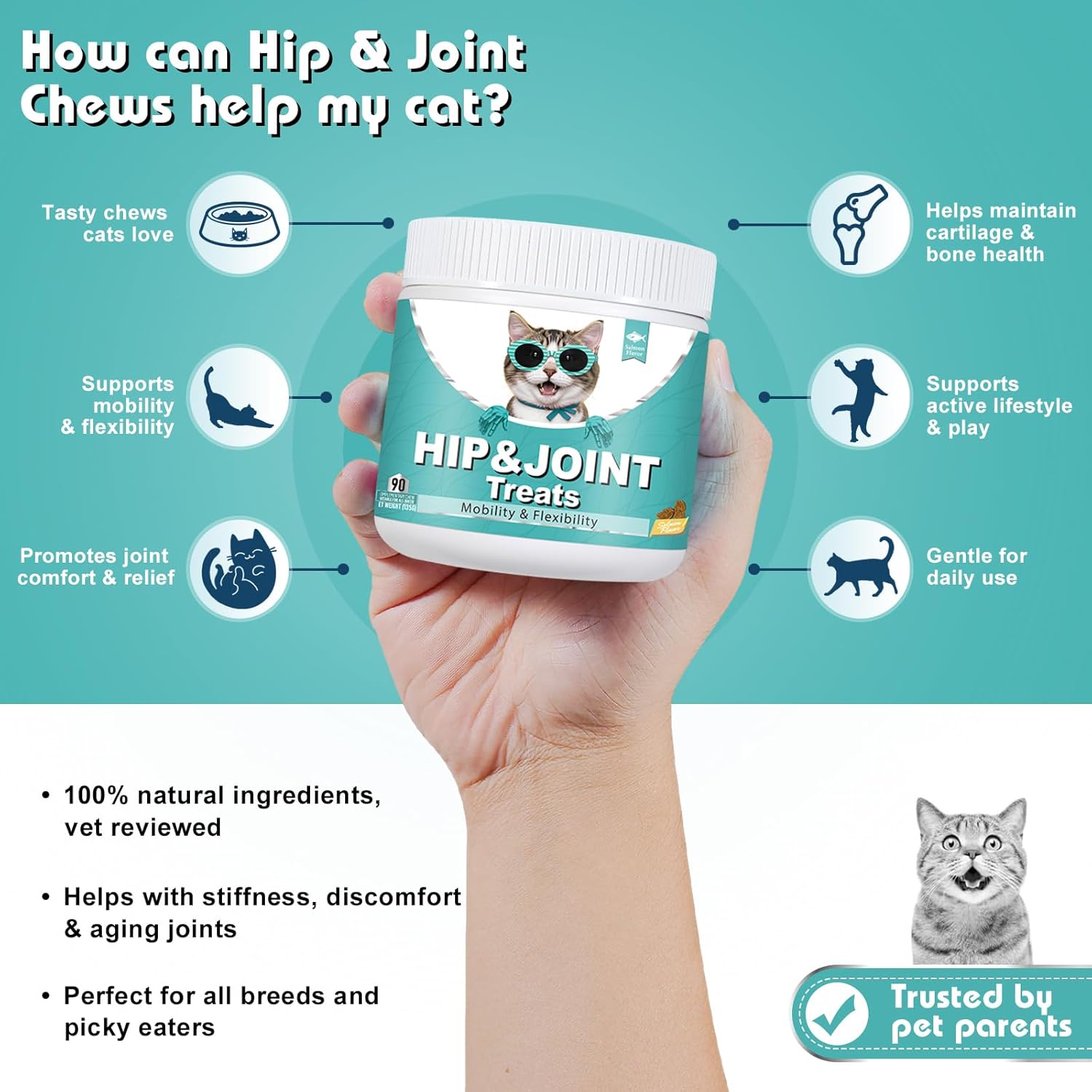joint supplement for cats
