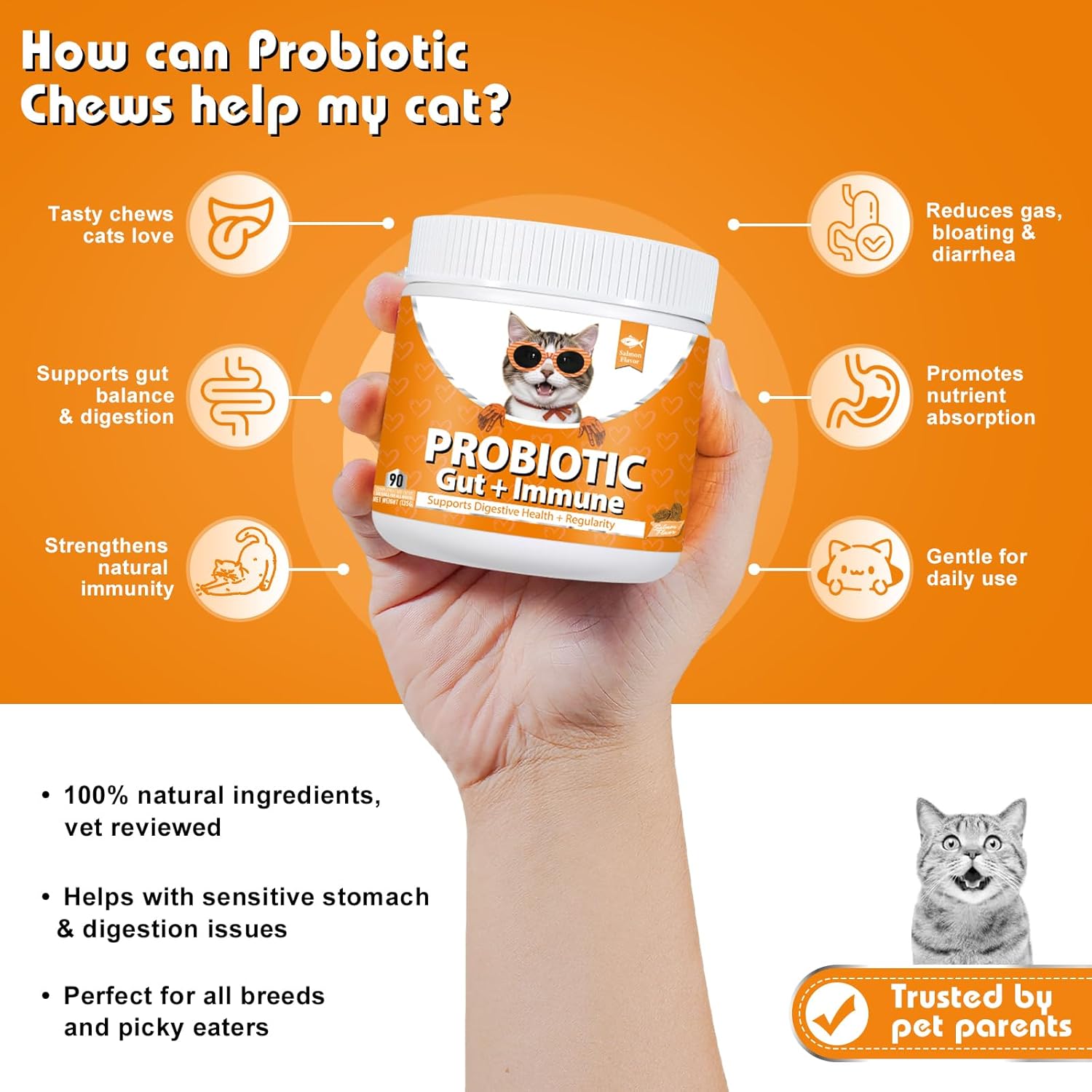 daily probiotics for cats