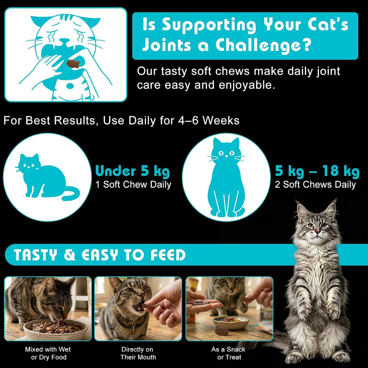 Cat Hip & Joint