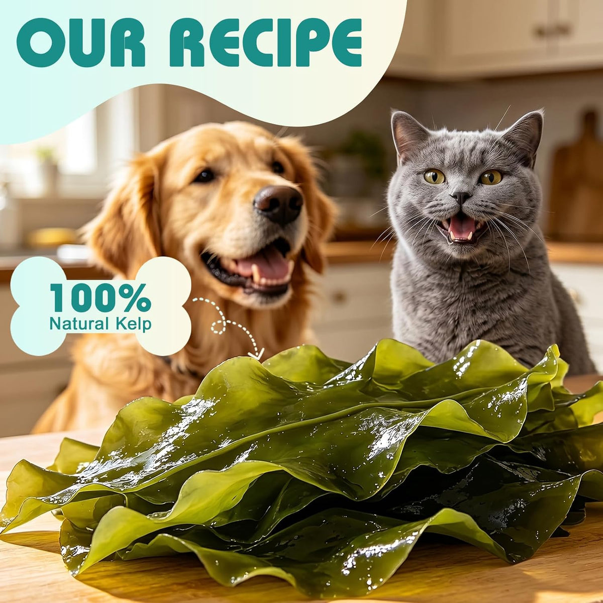 Bailey & buddies Dog & Cat Dental Powder with Irish Seaweed & Probiotics