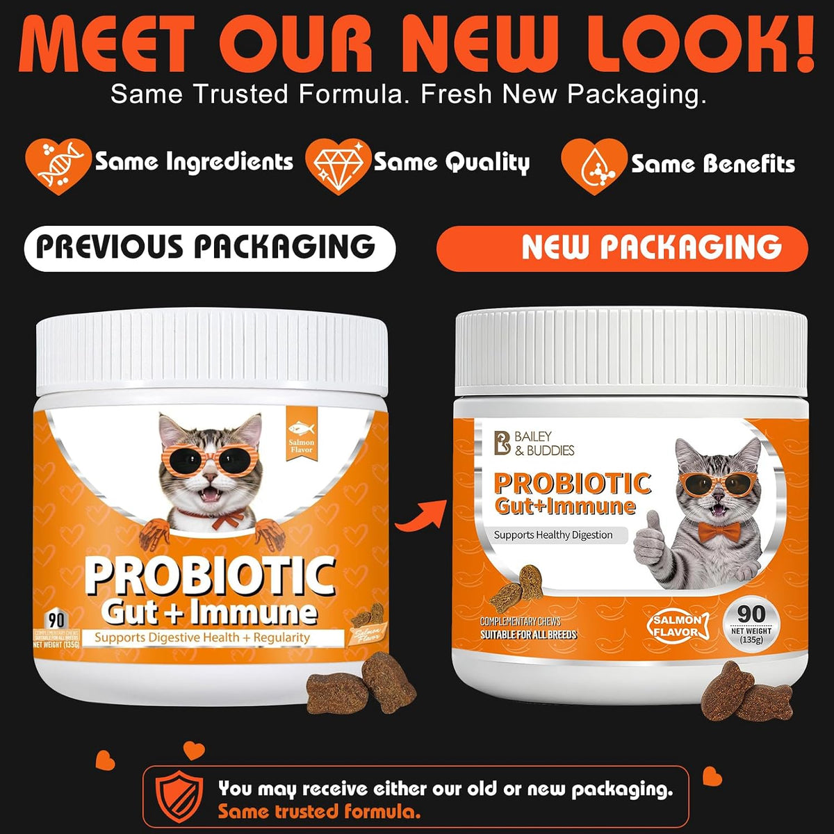 Cat Probiotics