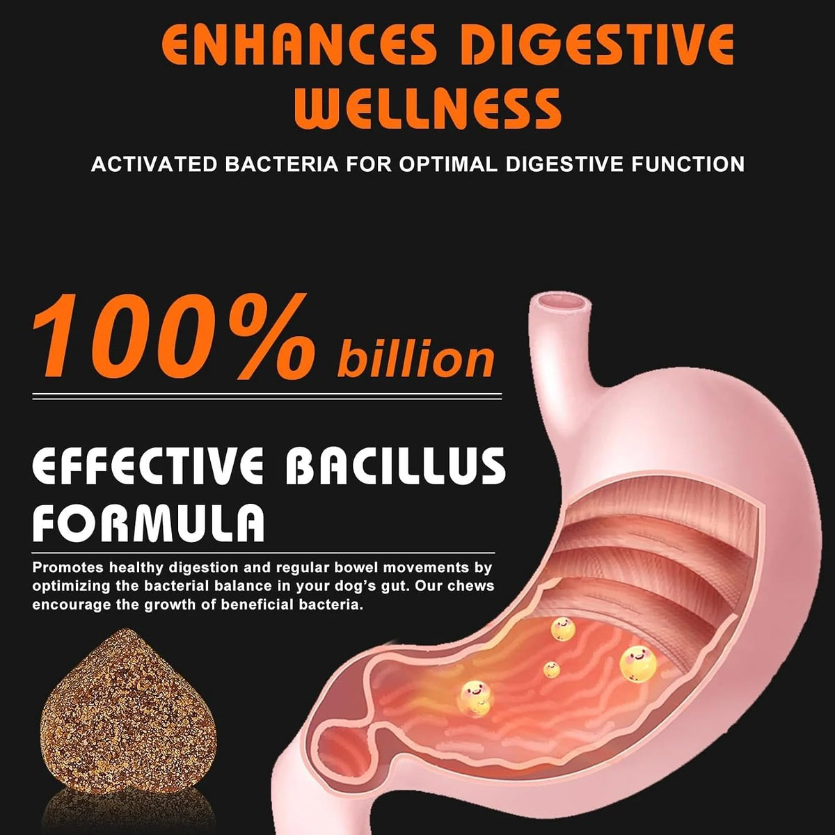 Dog Probiotics
