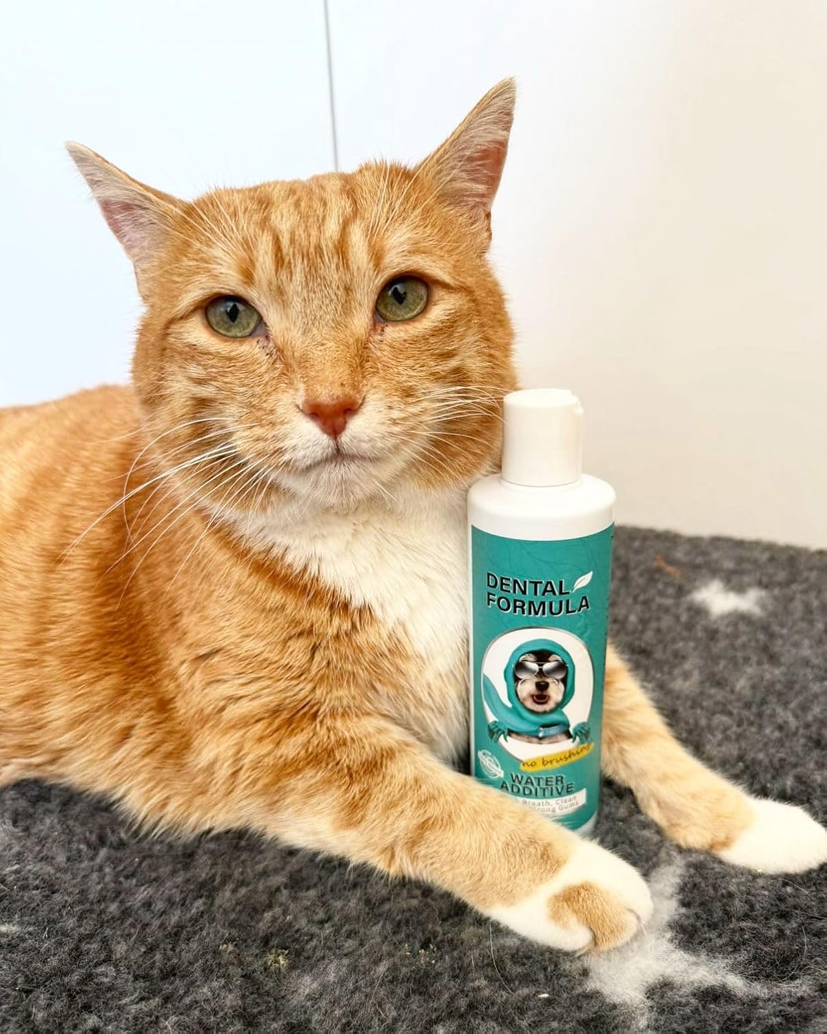 Dog & Cat Dental Water Additive