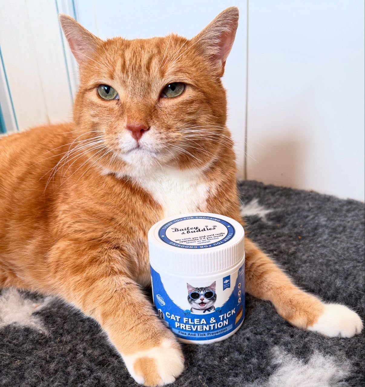 natural flea and tick prevention chews for cats