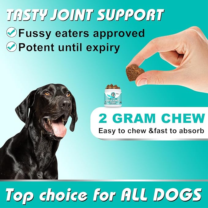 Dog chew product advertisement with a black dog, hand holding a chew, and text about joint support and ease of use.