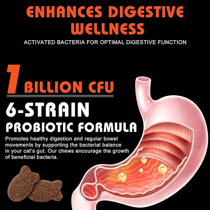 Cat Probiotics