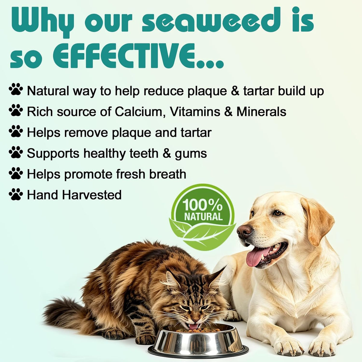 Bailey & buddies Dog & Cat Dental Powder with Irish Seaweed & Probiotics