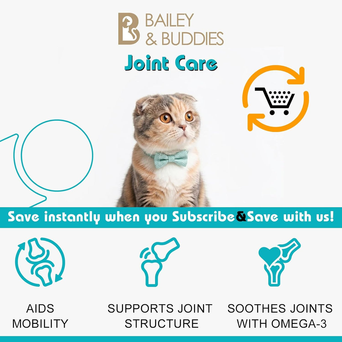 Cat Hip & Joint