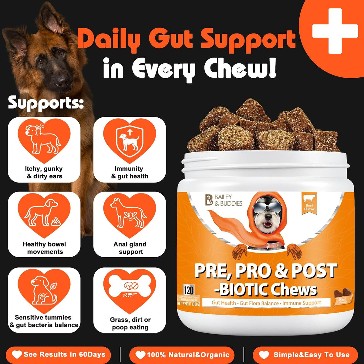 Dog Probiotics