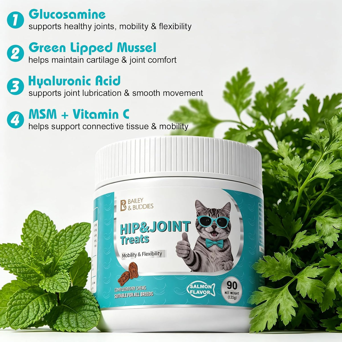 Cat Hip & Joint