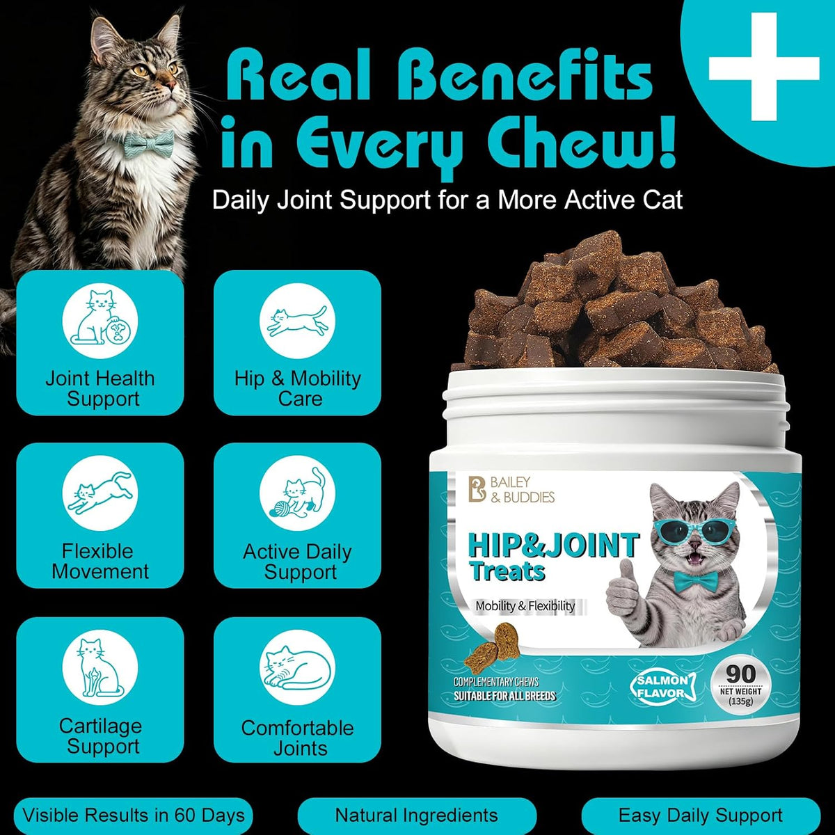Cat Hip & Joint