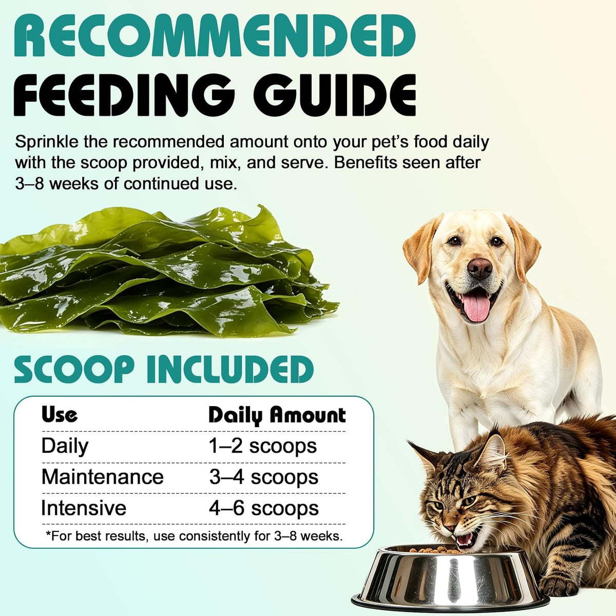 Bailey & buddies Dog & Cat Dental Powder with Irish Seaweed & Probiotics