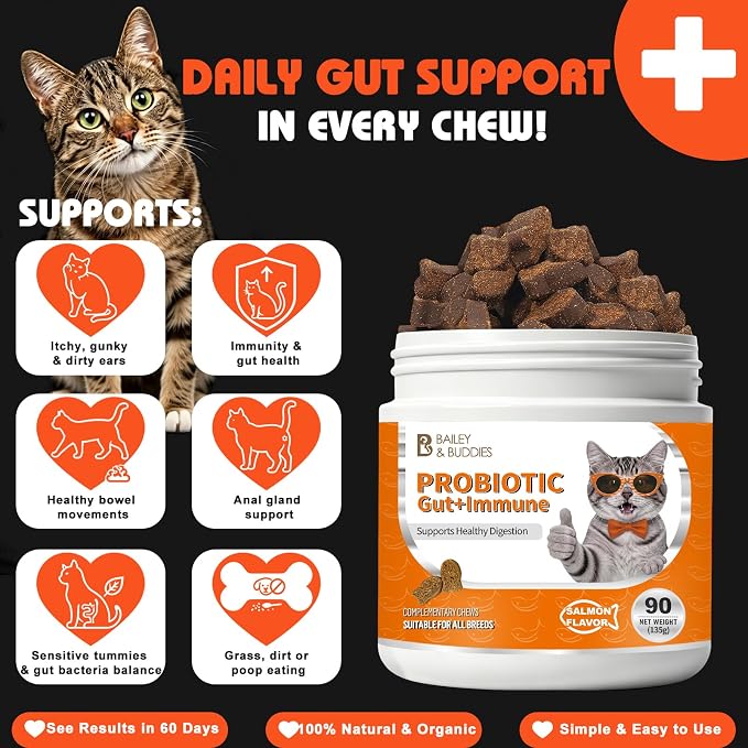 Cat Probiotics