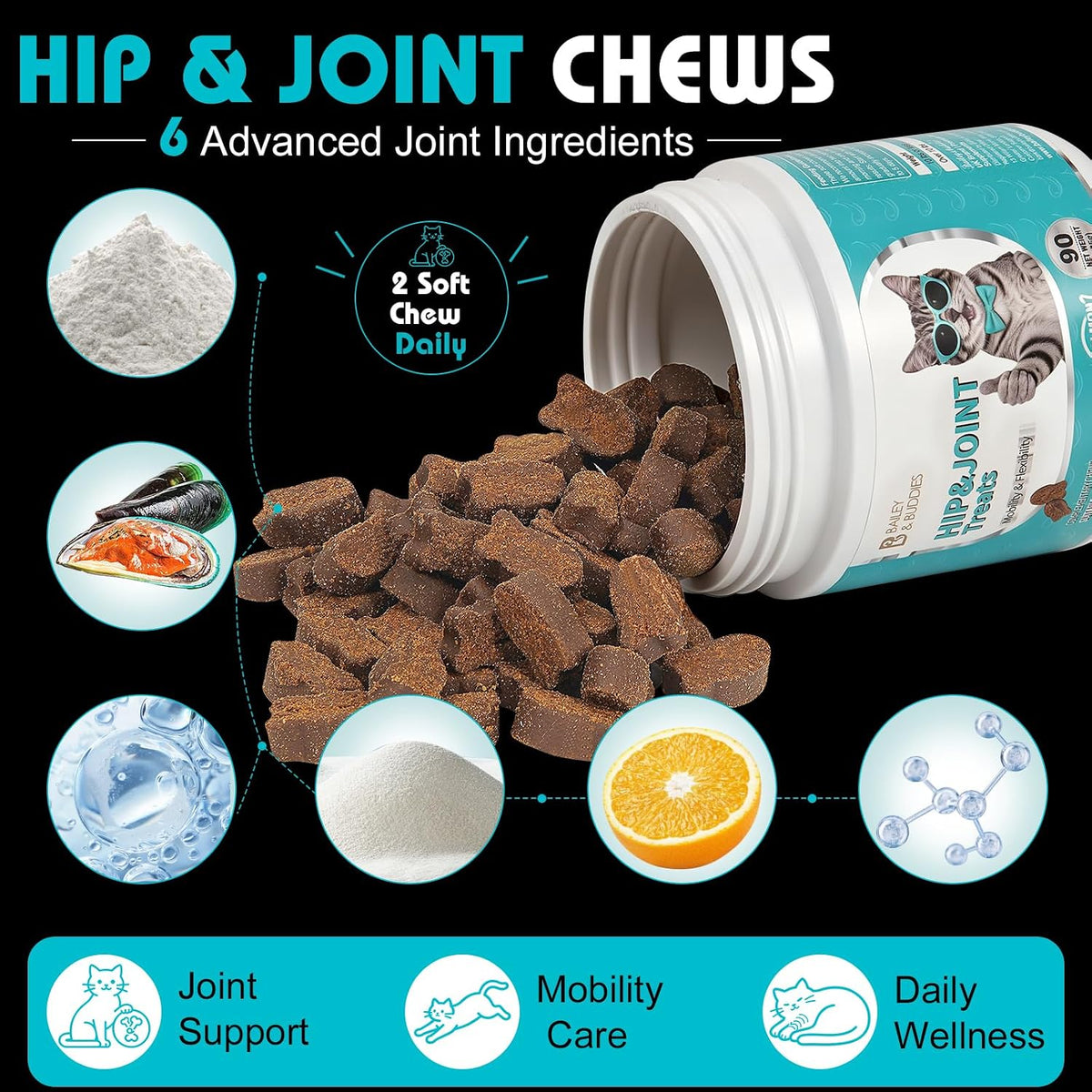 Cat Hip & Joint