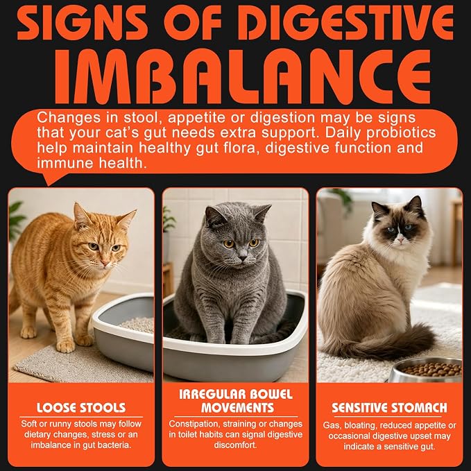 Cat Probiotics