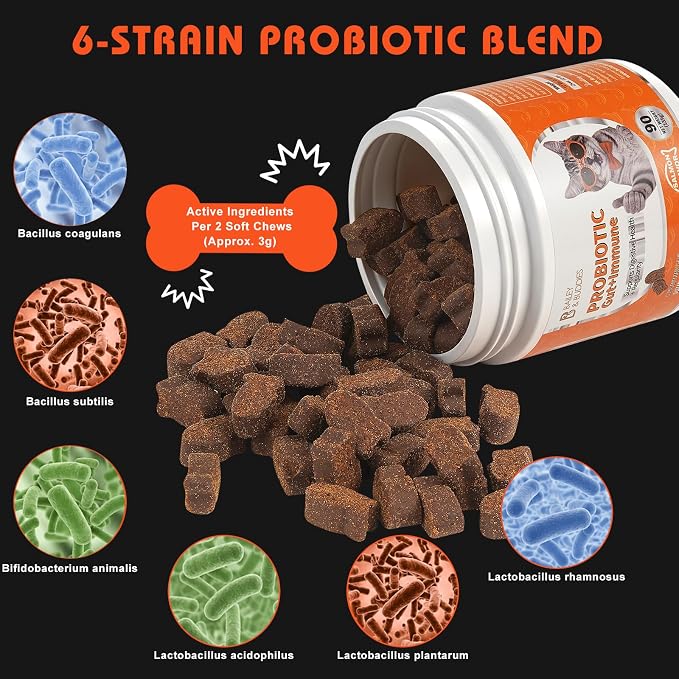 Cat Probiotics