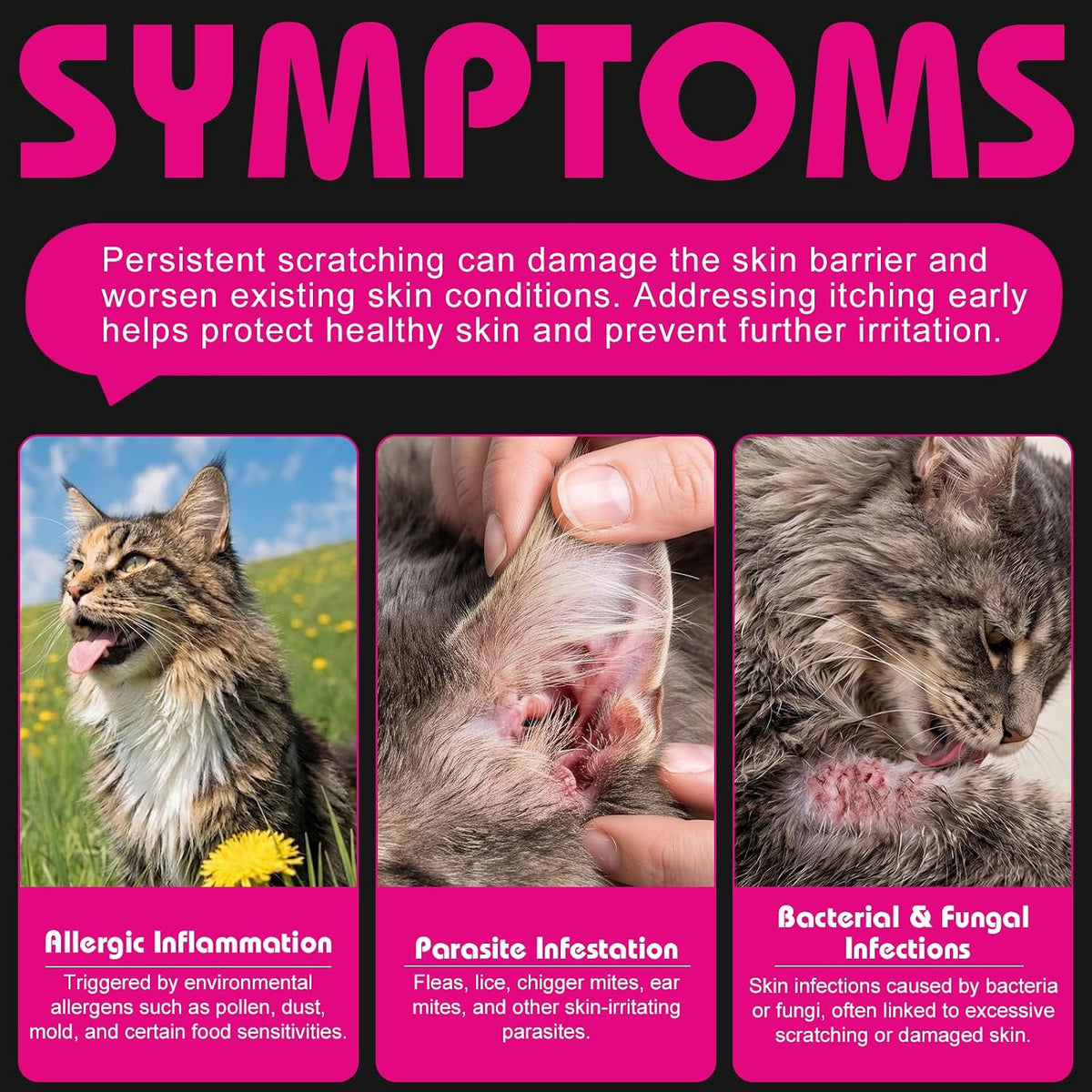 Cat Itch Relief Treats