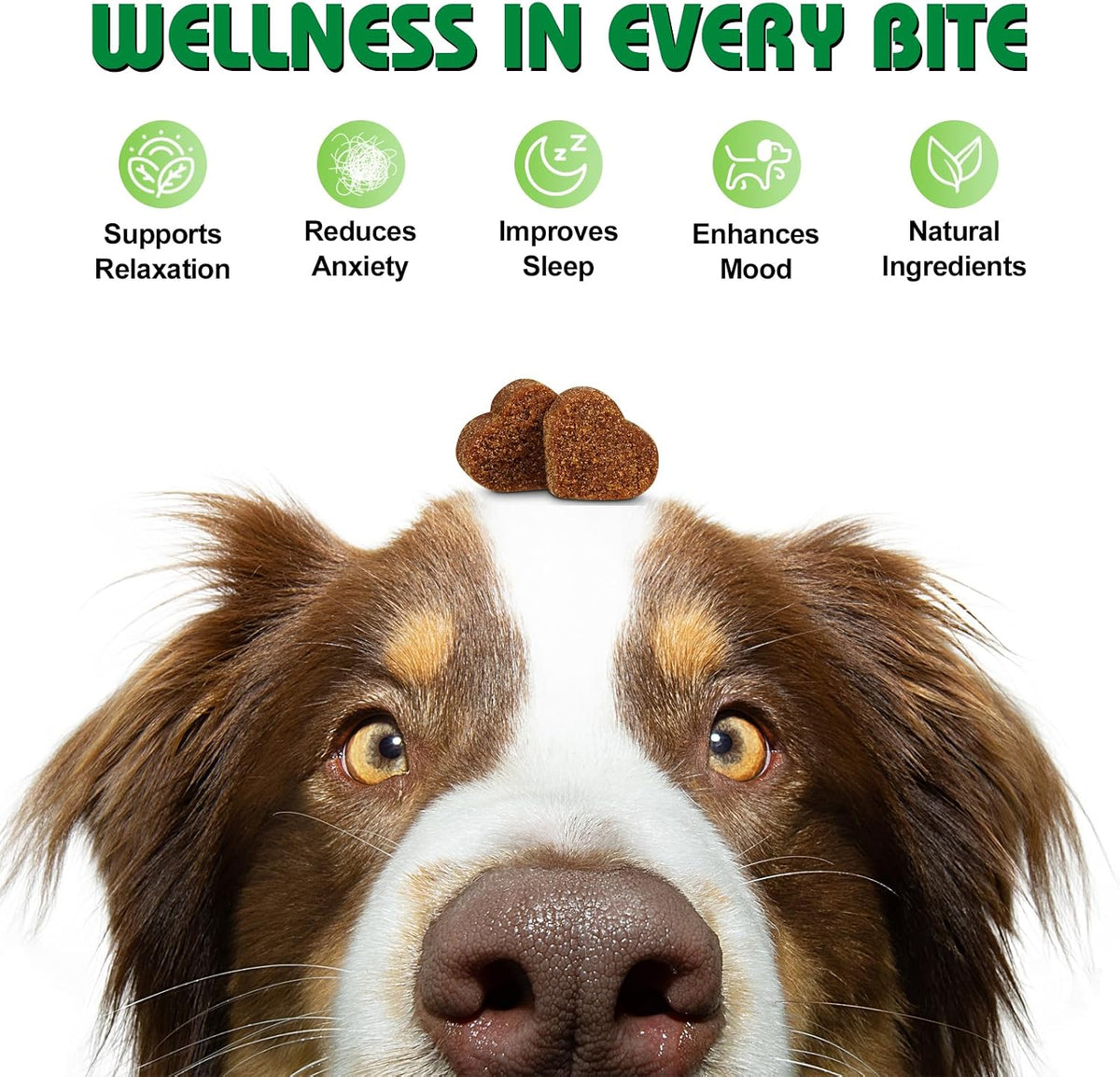 Calming Dog Chews