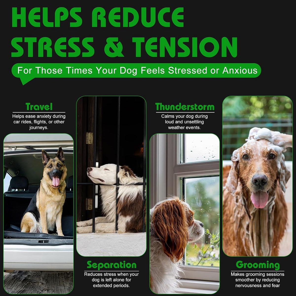 Calming Dog Chews