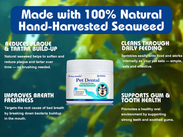 Pet dental powder packaging with seaweed background and text highlighting benefits