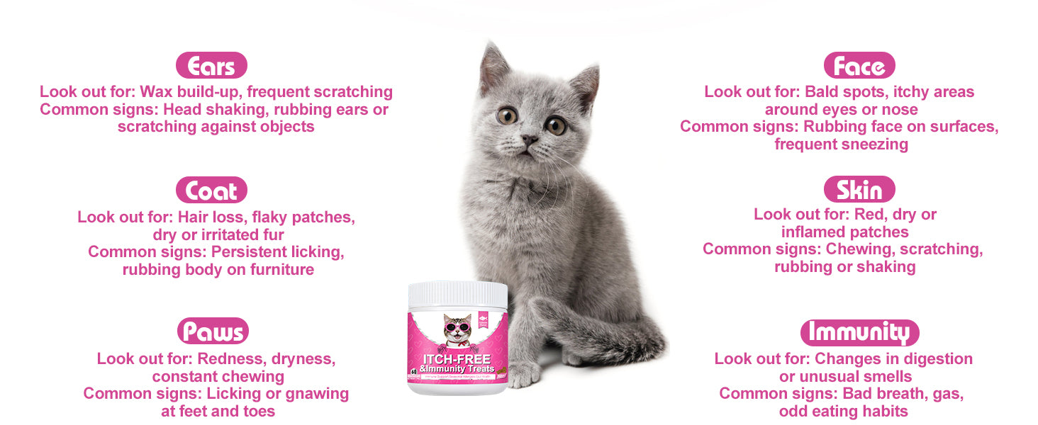 Bailey & buddies Cat Itch & Allergy Relief Treats – Natural Supplement with Salmon Oil, Probiotics & Turmeric – Stop Scratching, Licking & Over-Grooming – Skin & Immune Support – 90 Chews