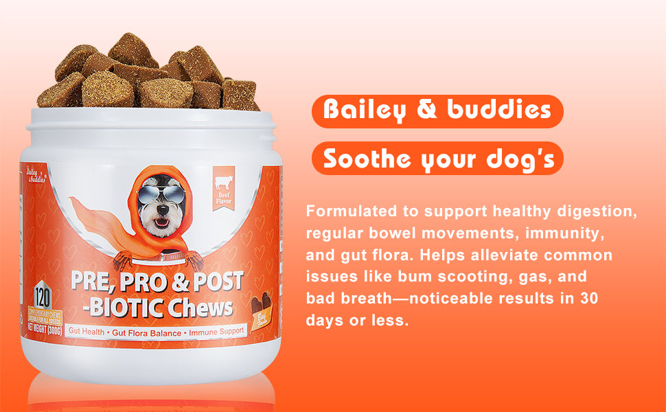 Container of 'Pre, Pro & Post Biotic Chews' for dogs with a dog wearing an orange raincoat on an orange gradient background.