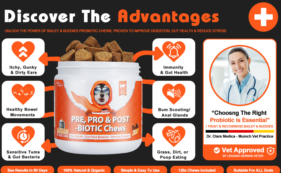 Promotional graphic for probiotic chews with a jar and text highlighting benefits.