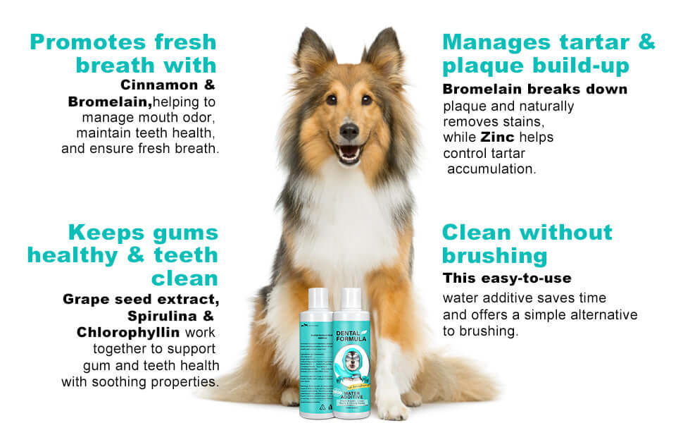 Dog with pet care product packaging, promoting fresh breath, plaque management, and dental health.
