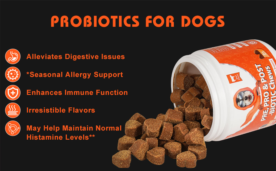 Probiotics for dogs with a container and text on a black background