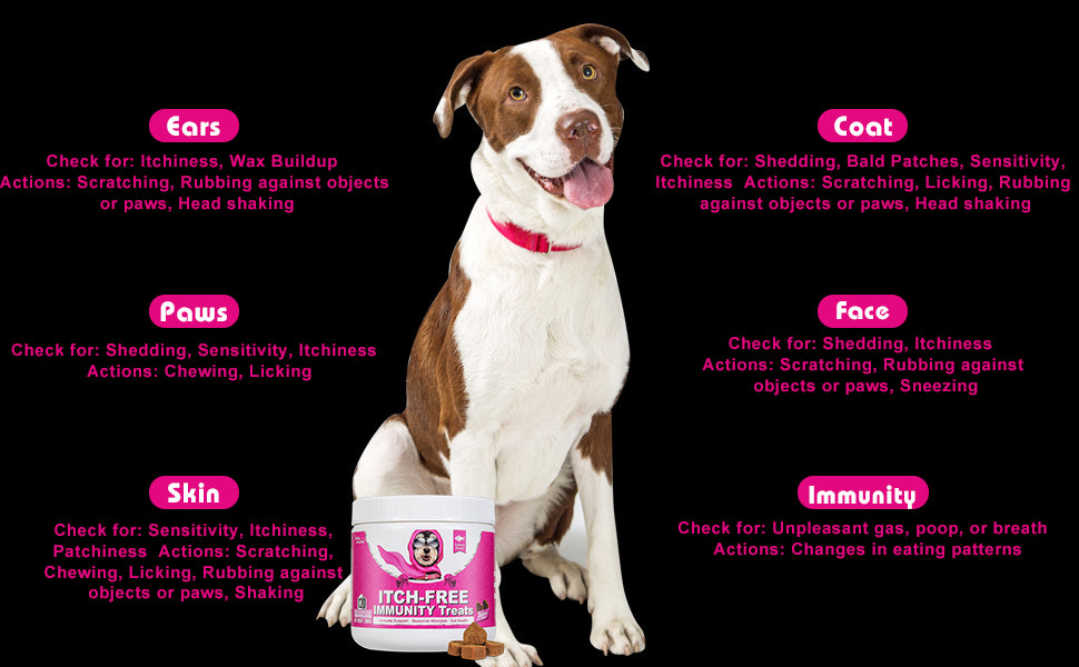 Itchy Dog Treat Allergy Tablets For Dogs