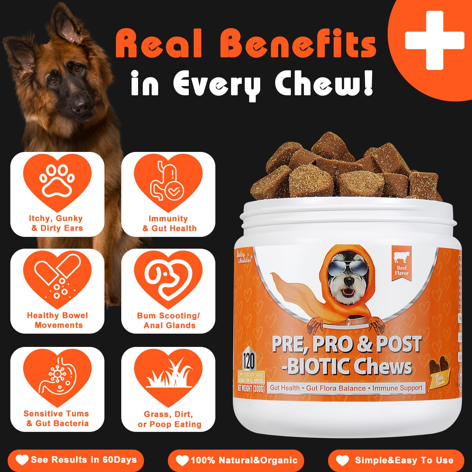 Probiotics for Dogs